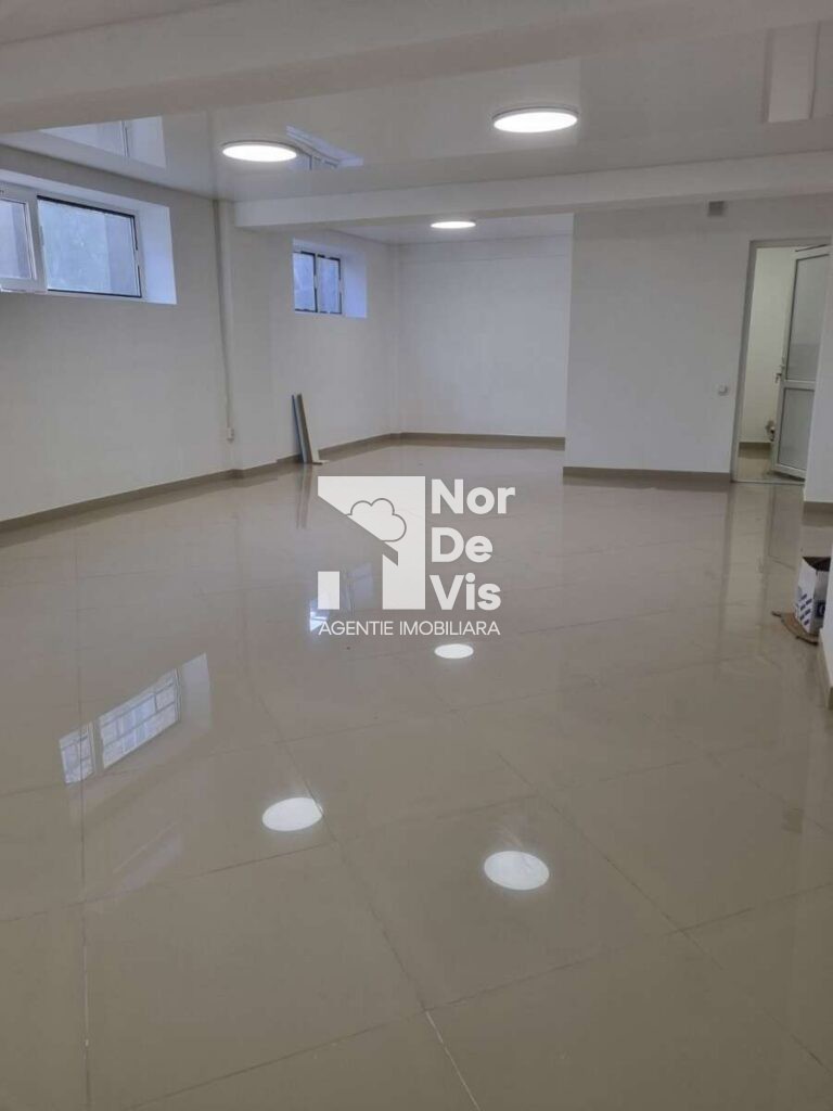 se da in chirie spatiu comercial