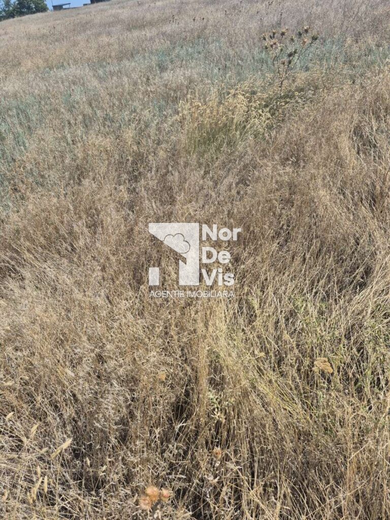 se vinde teren pentru constructii