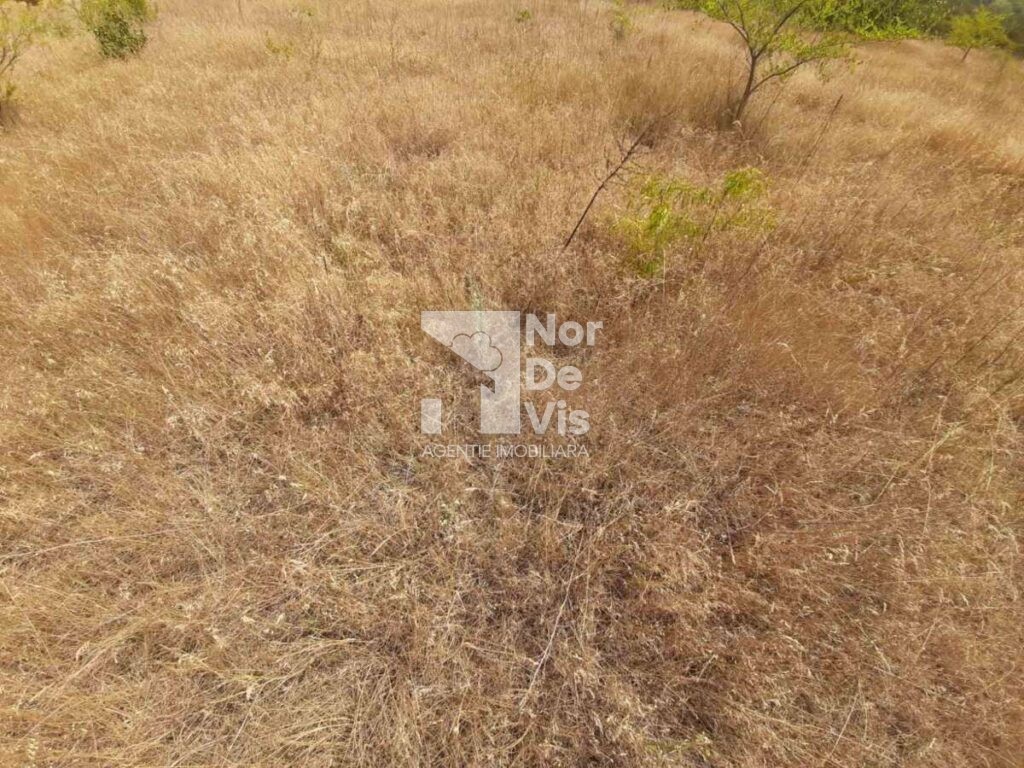 se vinde teren pentru constructii