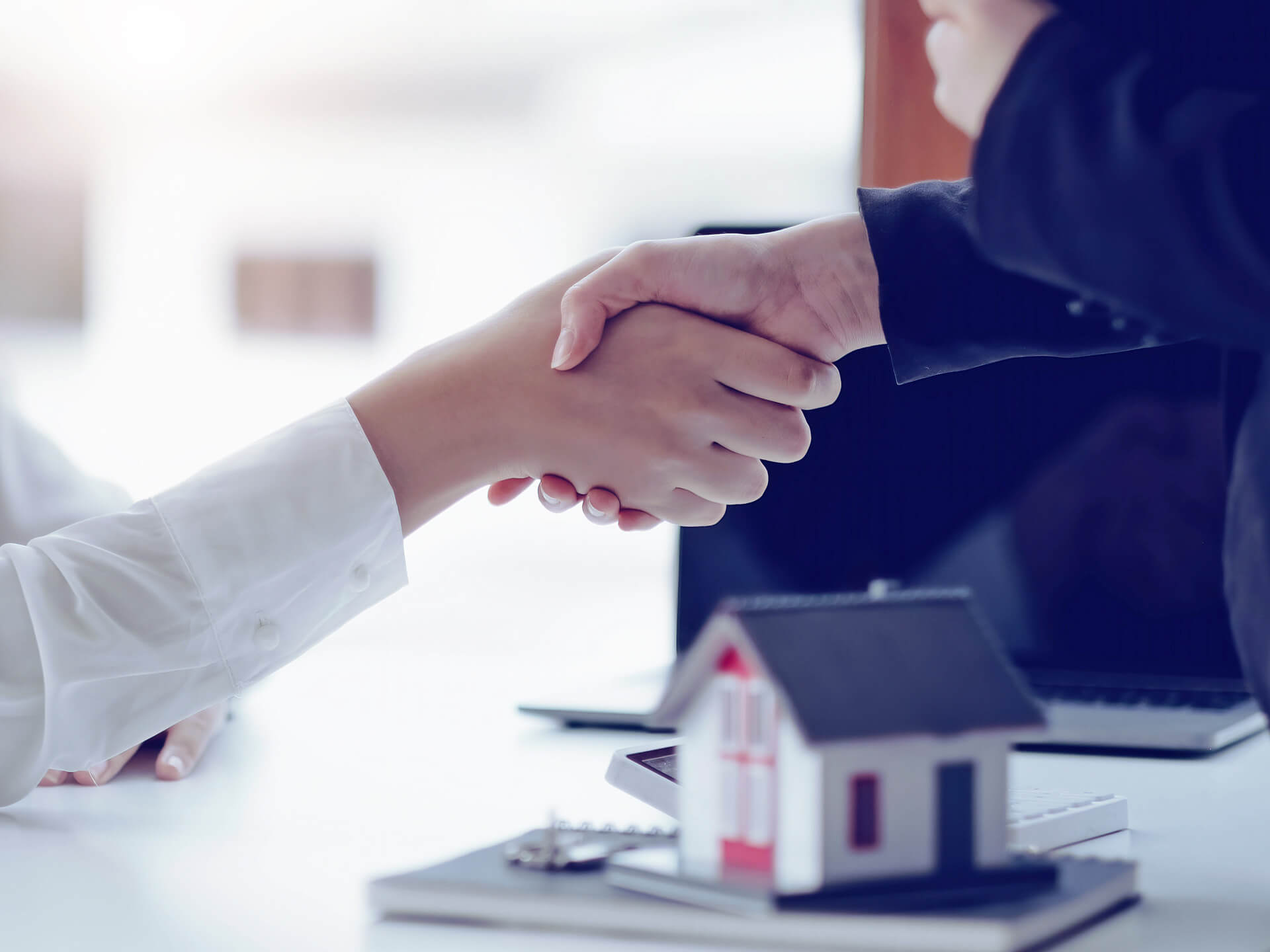 sectiune pentru proprietari